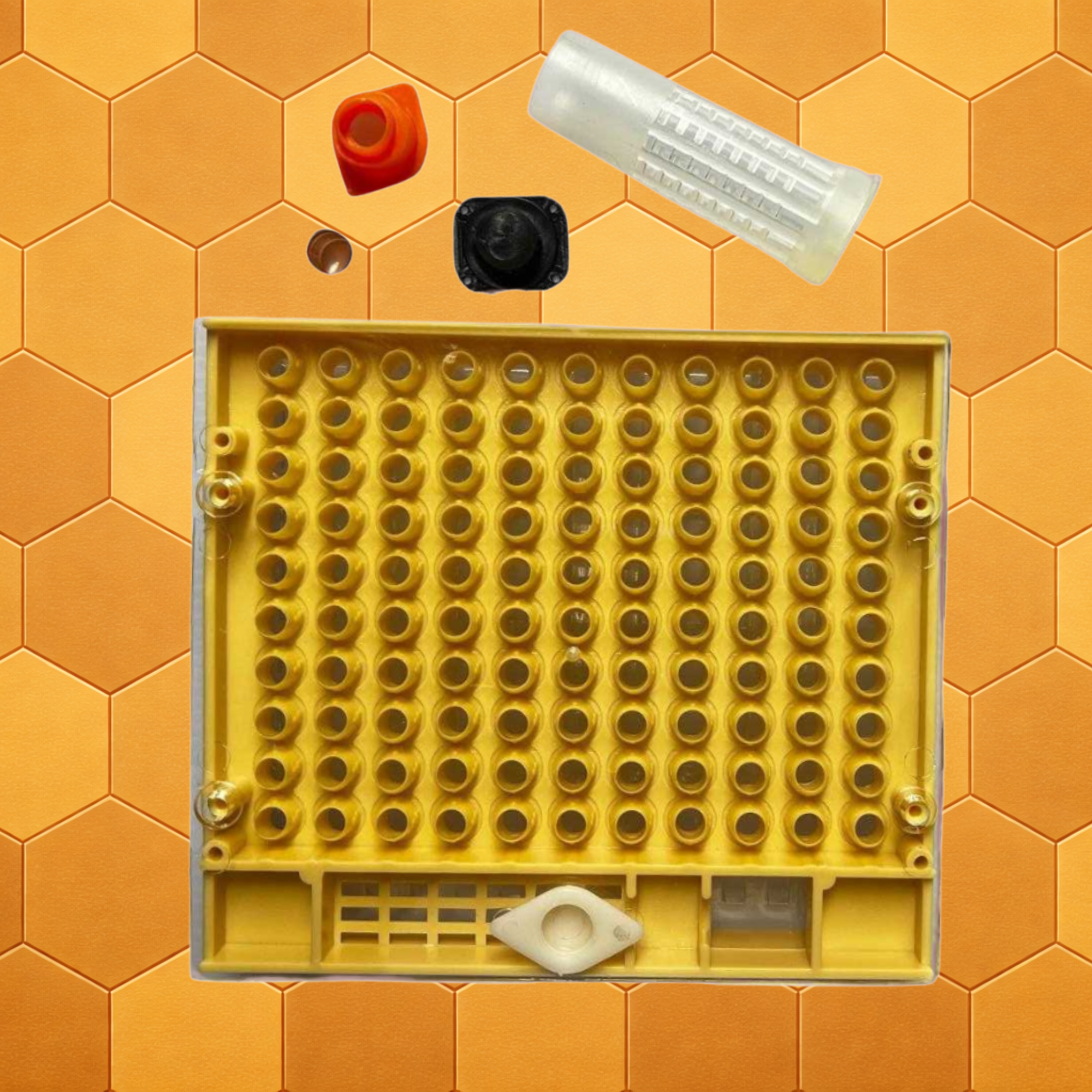 Queen Rearing System - In the style of Nicot