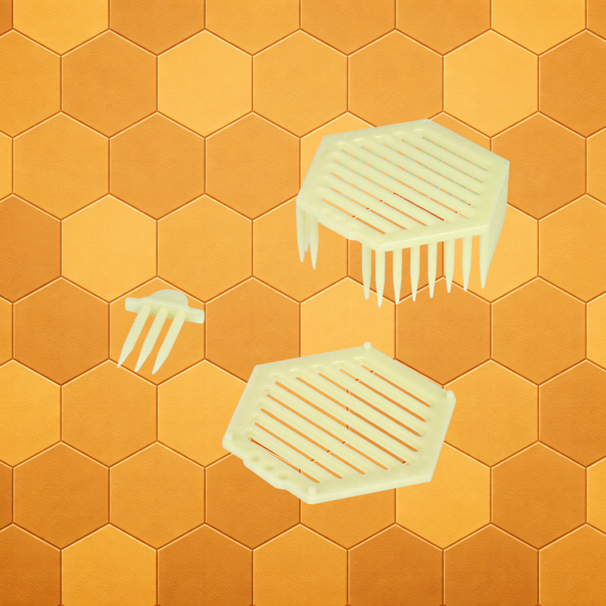 Hexagonal Queen Introduction Cage with Entrance