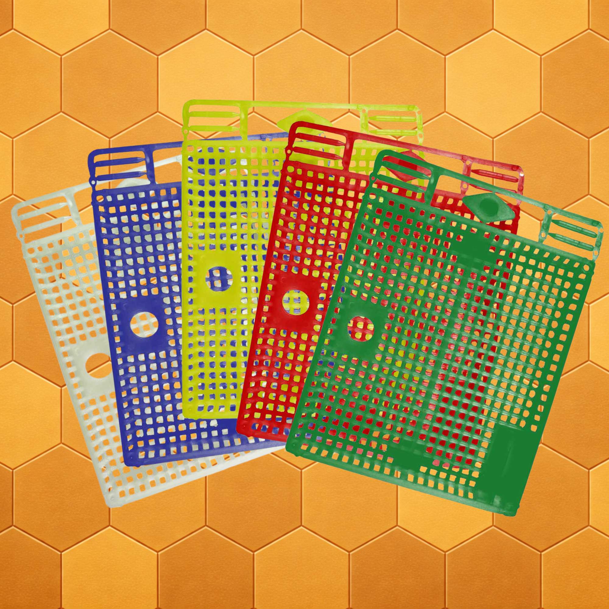 Frame Introduction Cage