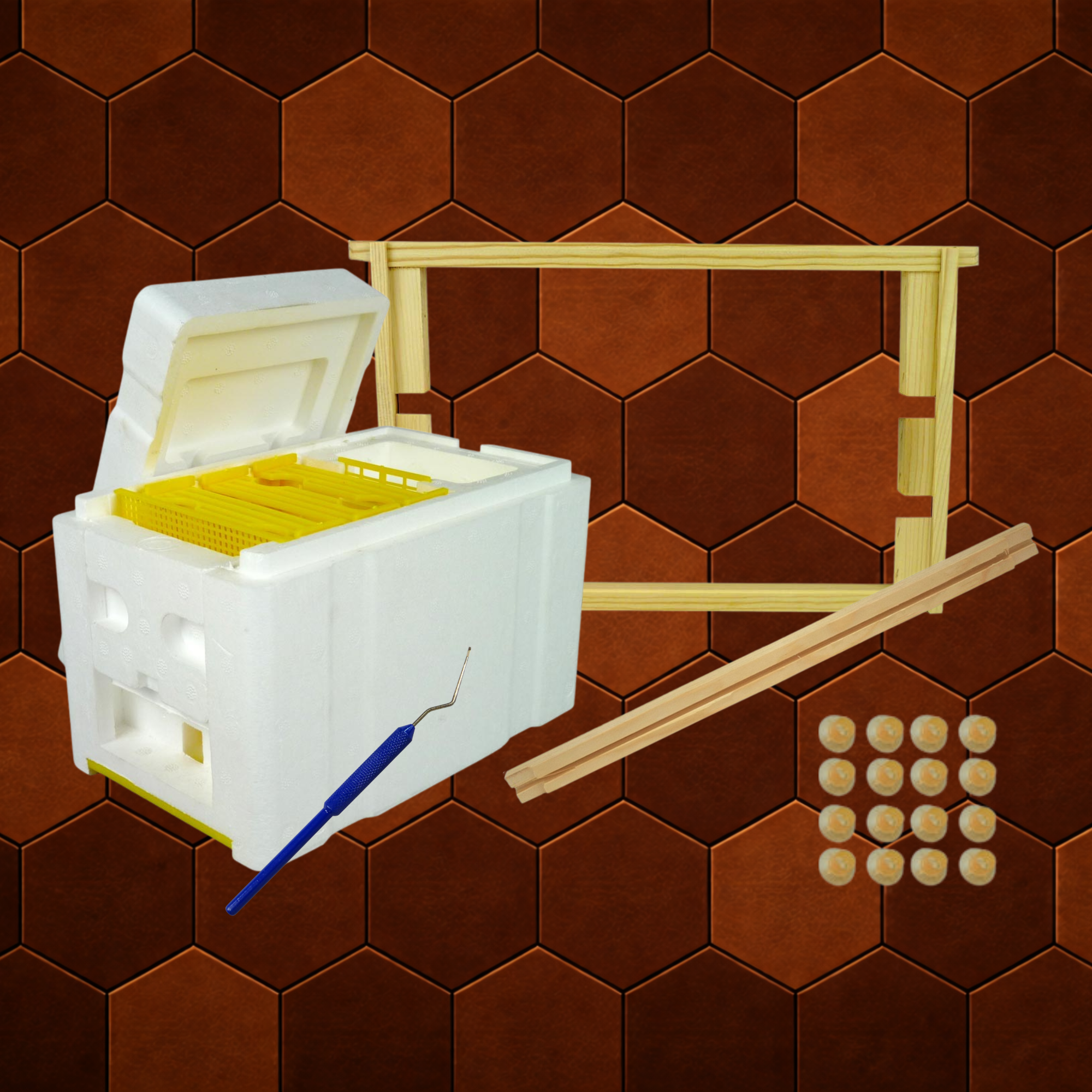 National Queen Rearing Kit